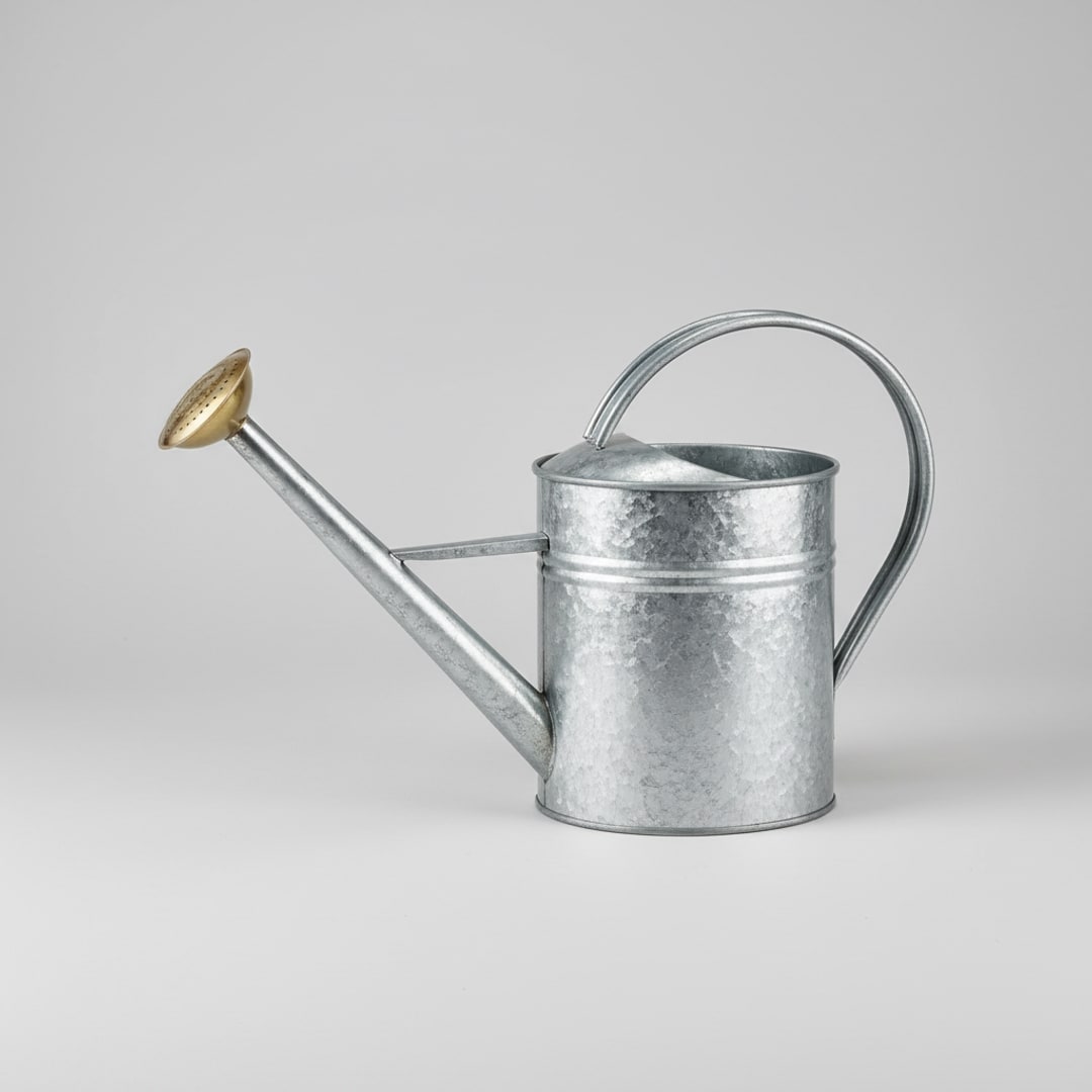 Galvanised Watering Can, 5L